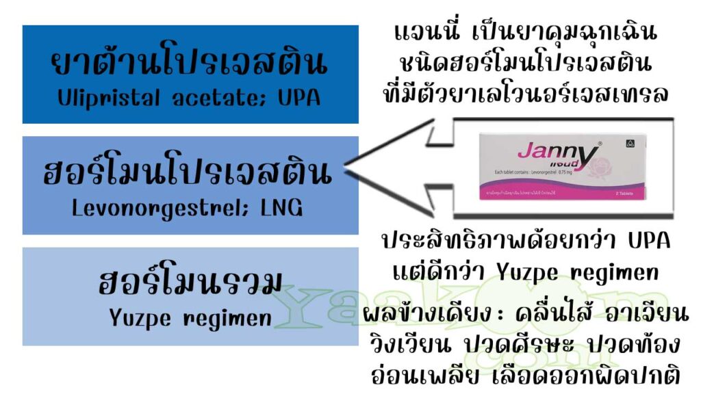 แจนนี่ จัดเป็นยาคุมฉุกเฉินชนิดฮอร์โมนโปรเจสติน ที่มีตัวยาเลโวนอร์เจสเทรล