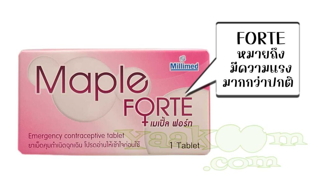 คำว่า FORTE ใช้เน้นจุดเด่นของ เมเปิ้ล ฟอร์ท ว่าเม็ดยามีความแรงมากกว่าปกติ