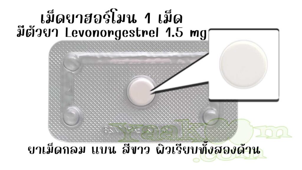 ในแผงของยาคุมฉุกเฉิน เมเปิ้ล ฟอร์ท มีเม็ดยาฮอร์โมน 1 เม็ด ซึ่งมีตัวยาเลโวนอร์เจสเทรล 1.5 มิลลิกรัม