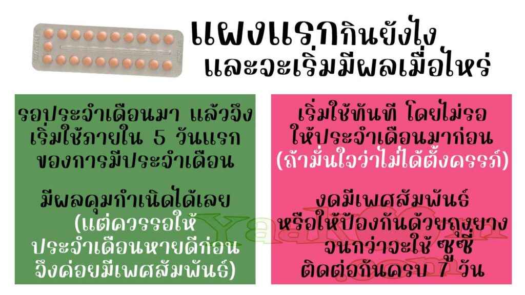 เริ่มรับประทาน ซูซี่ แผงแรกอย่างไร และจะมีผลคุมกำเนิดเมื่อไหร่