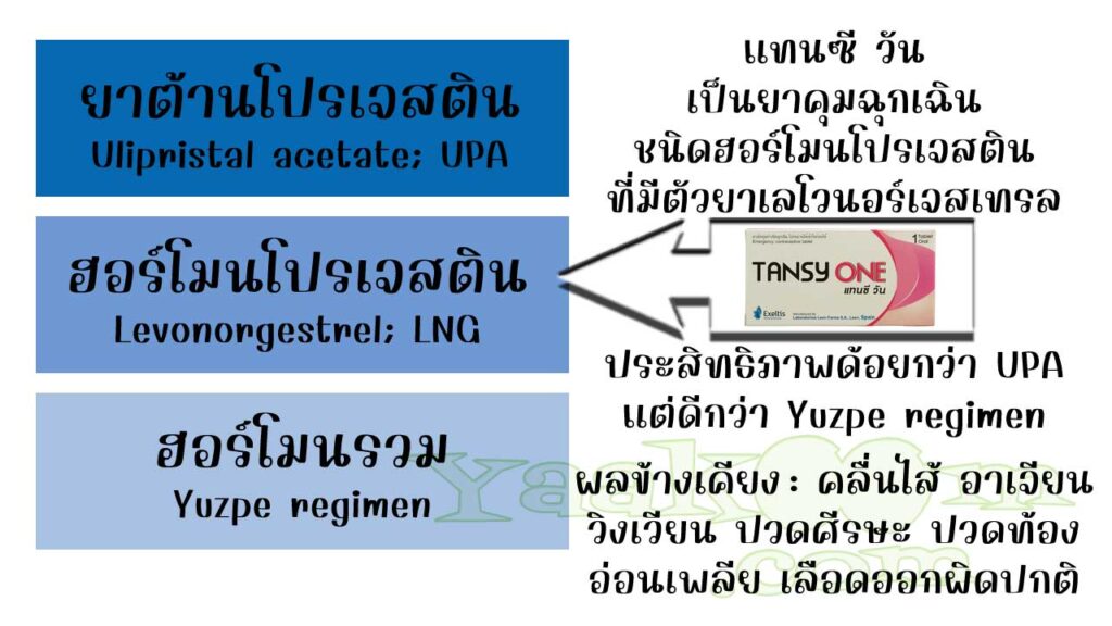 แทนซี วัน จัดเป็นยาคุมฉุกเฉินชนิดฮอร์โมนโปรเจสติน ที่มีตัวยาเลโวนอร์เจสเทรล